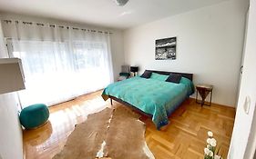 Apartment Nera Zadar